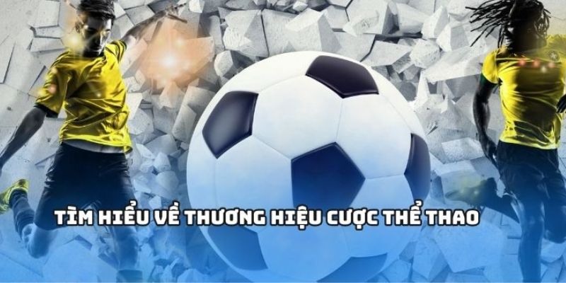 Đôi nét về thể thao Pg88